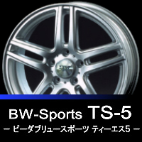 BW-Sports TS-5